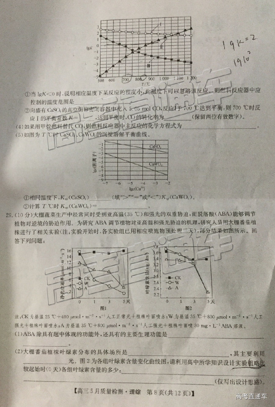 2019ʦ⼰ο