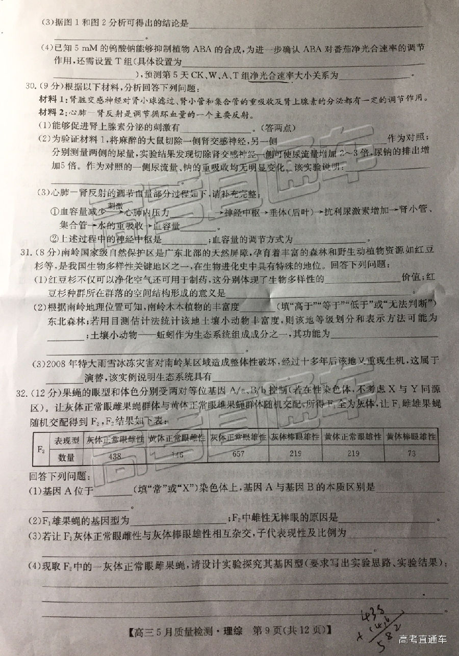 2019ʦ⼰ο