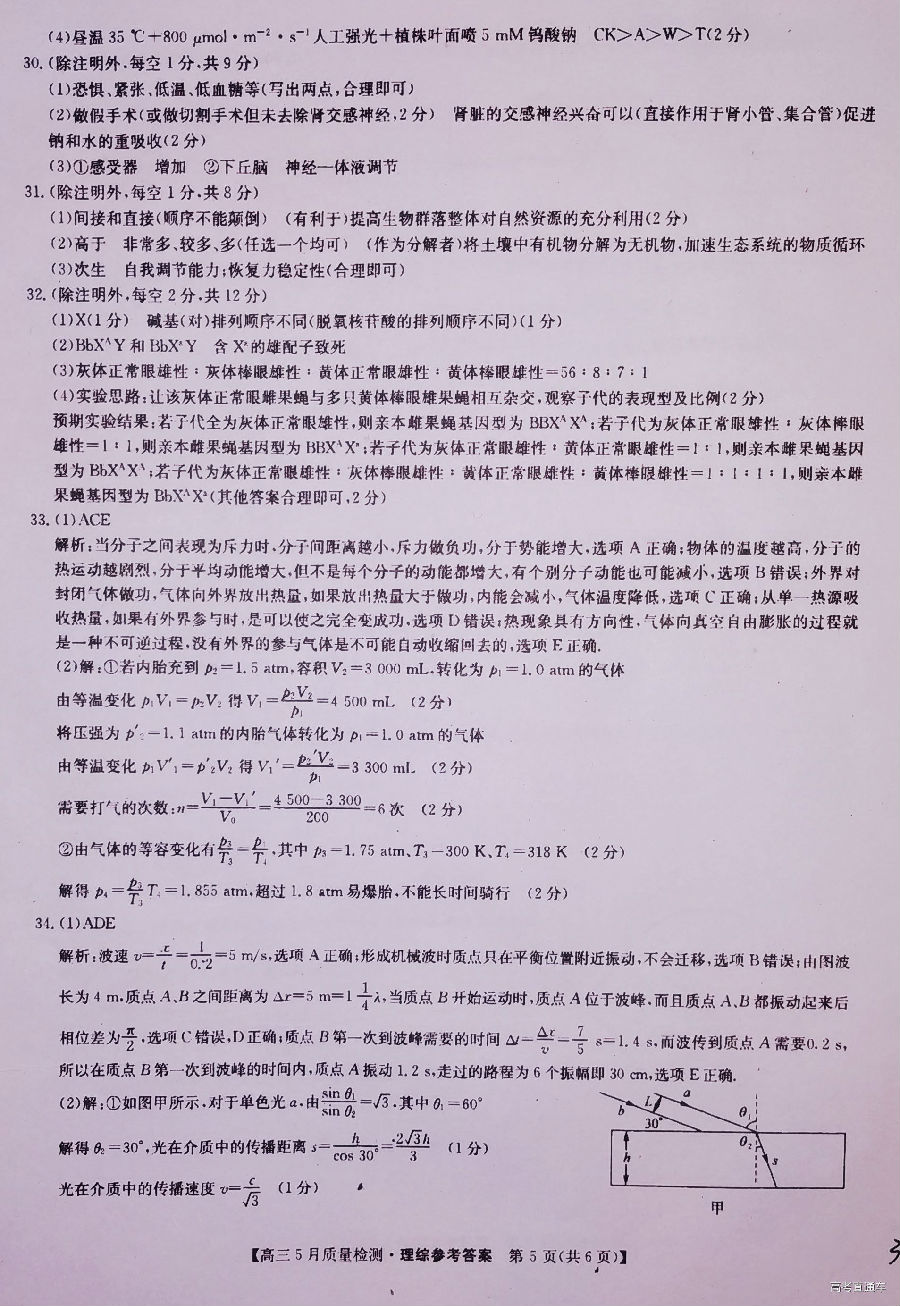 2019ʦ⼰ο