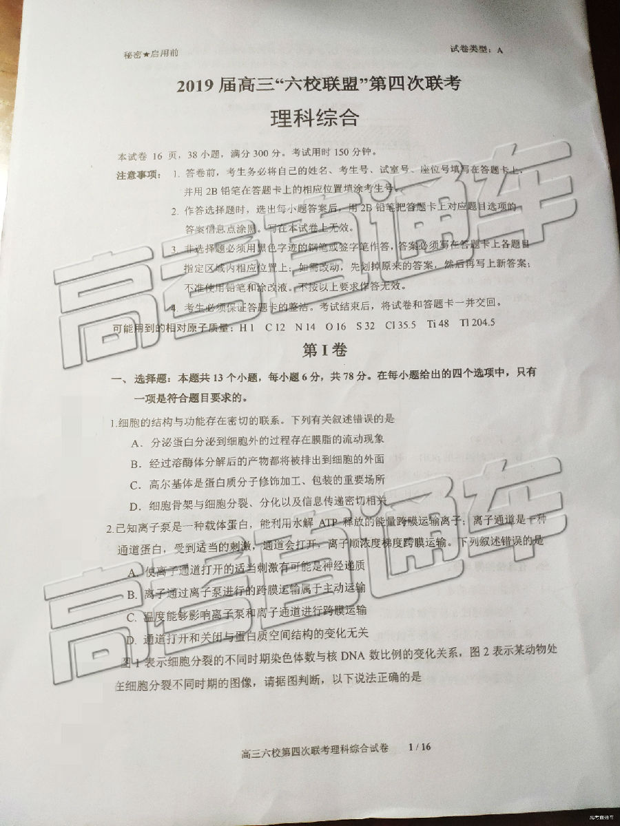 2019㶫У⼰ο