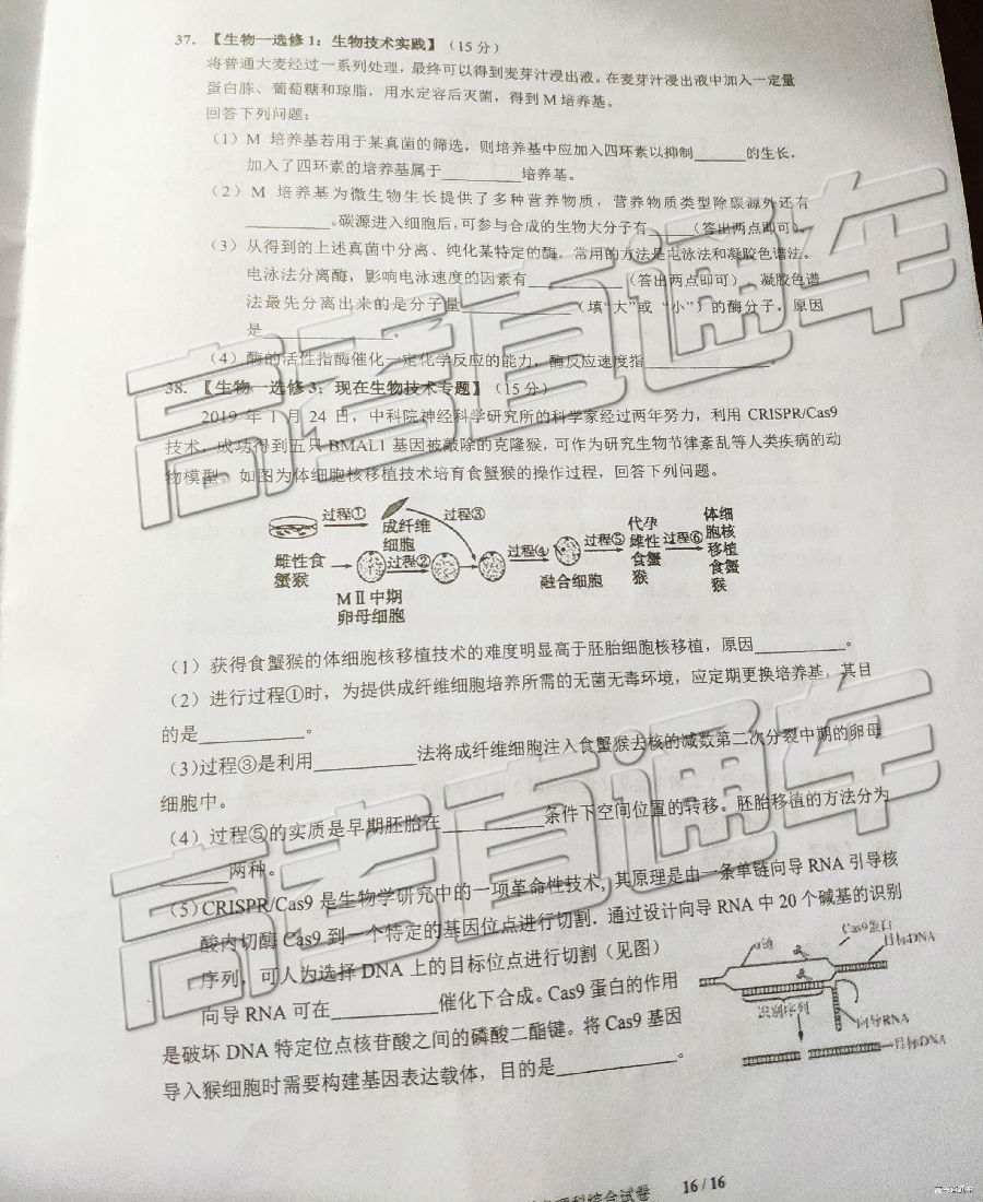 2019㶫У⼰ο