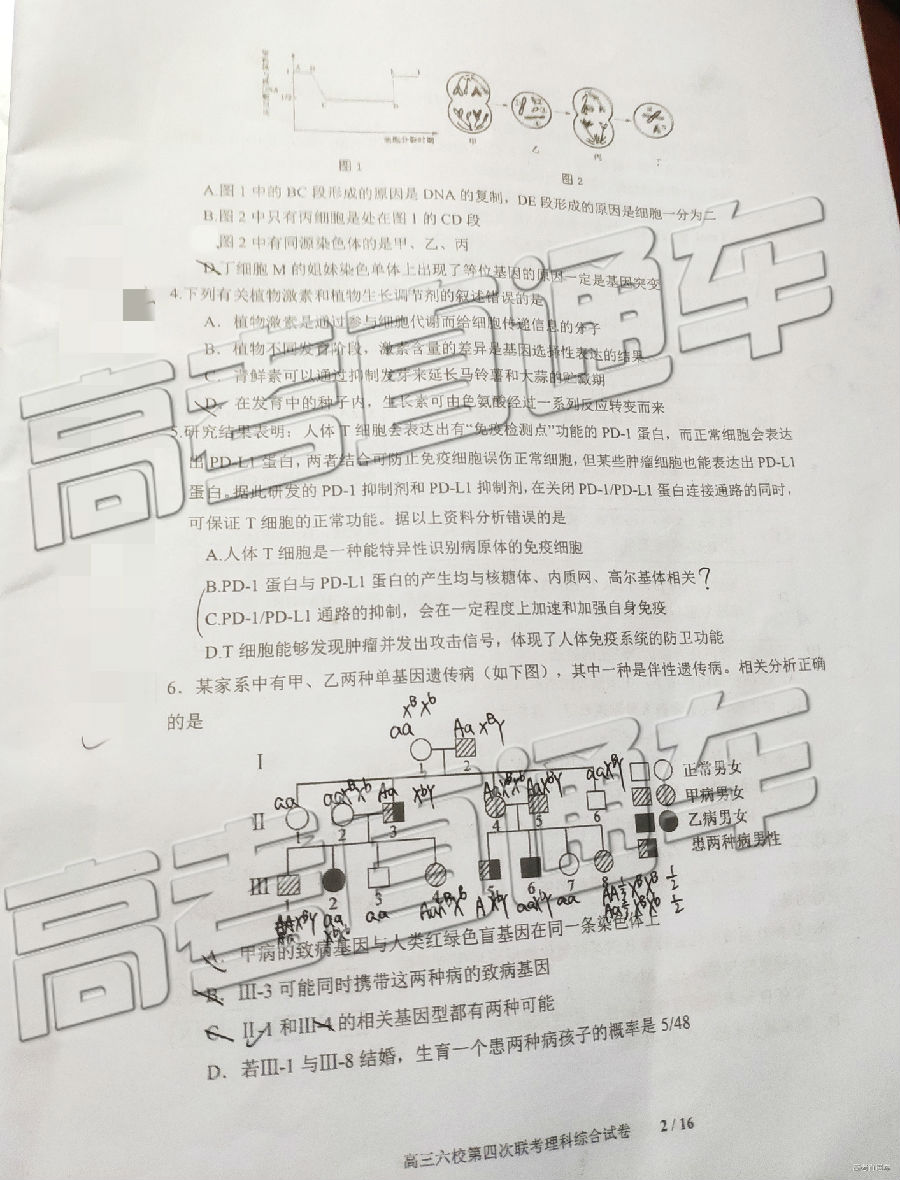 2019㶫У⼰ο