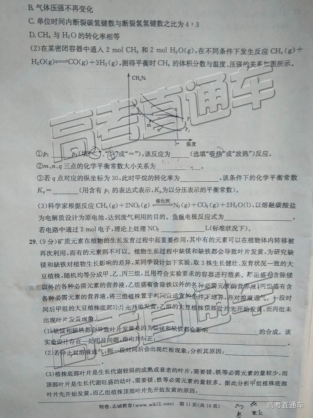 2019ʮУģ⼰ο