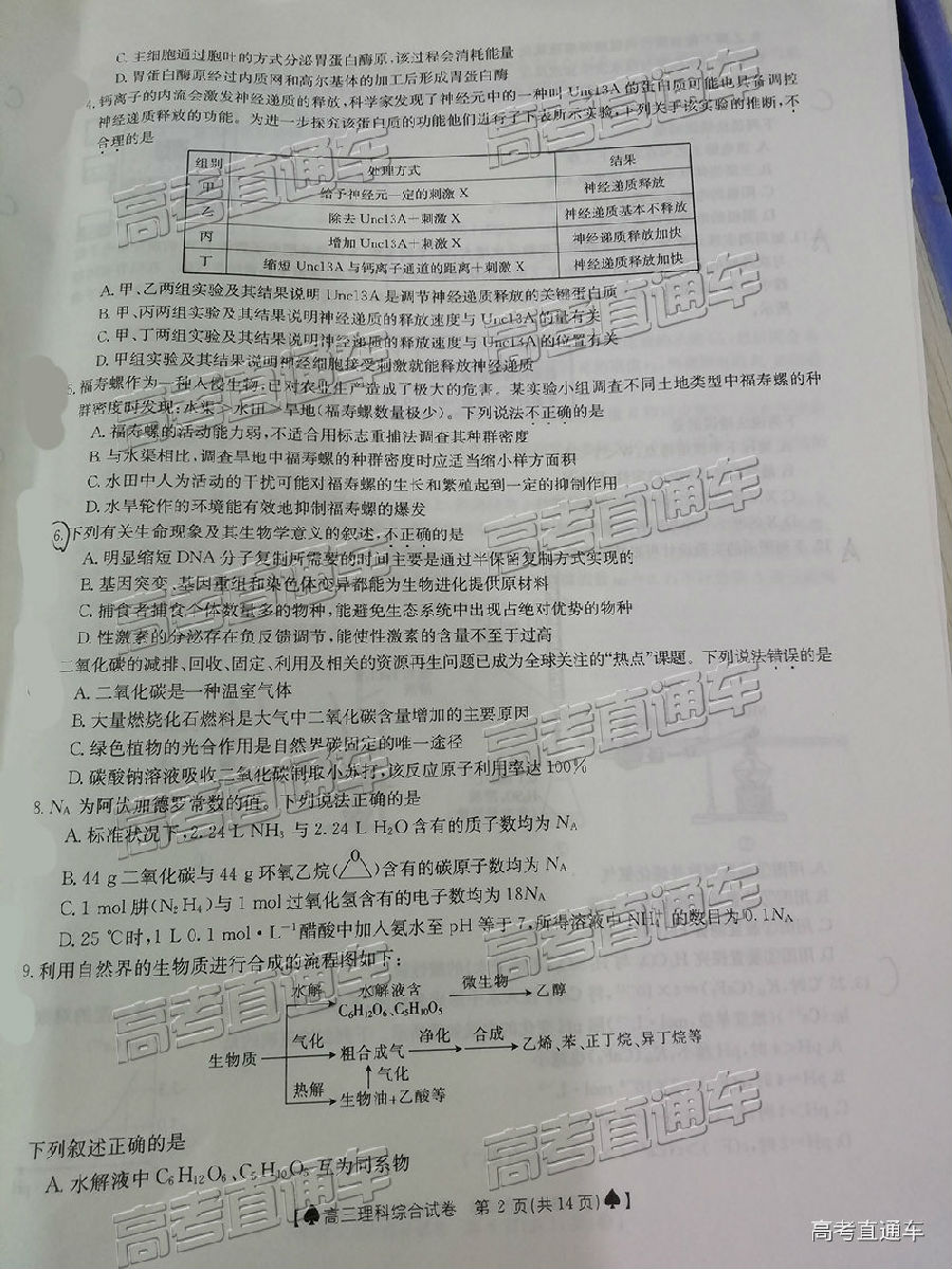 2019̫5°У⼰ο