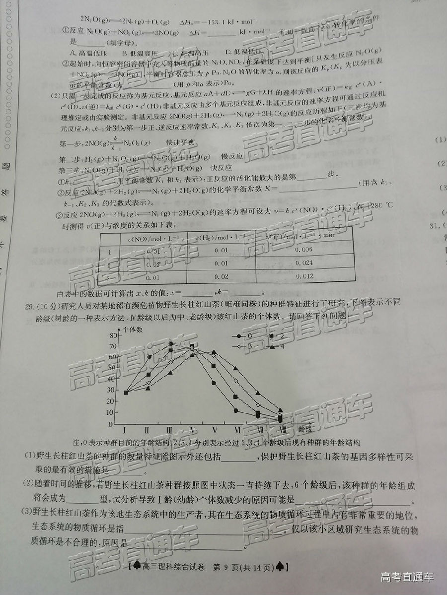 2019̫5°У⼰ο