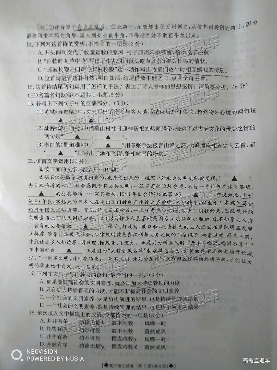 2019̫5°У⼰ο