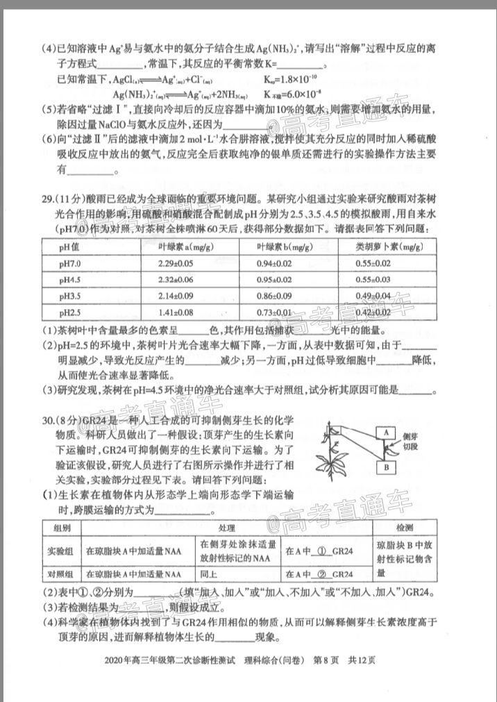 ½2020꼶ڶԲ⼰