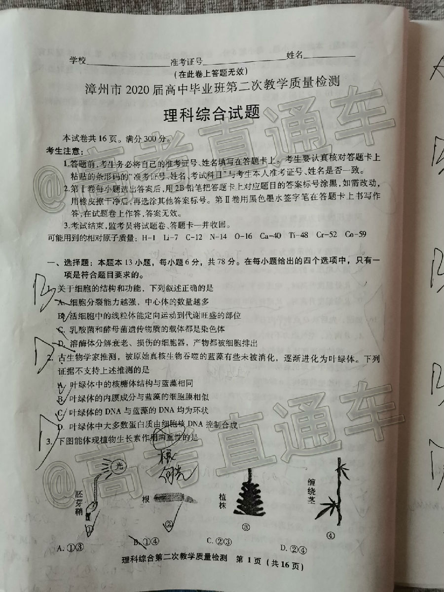2020ݡƽ4ʼ⼰ο