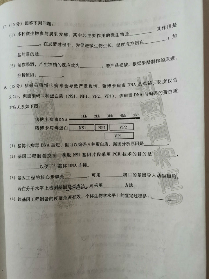 2020ݡƽ4ʼ⼰ο