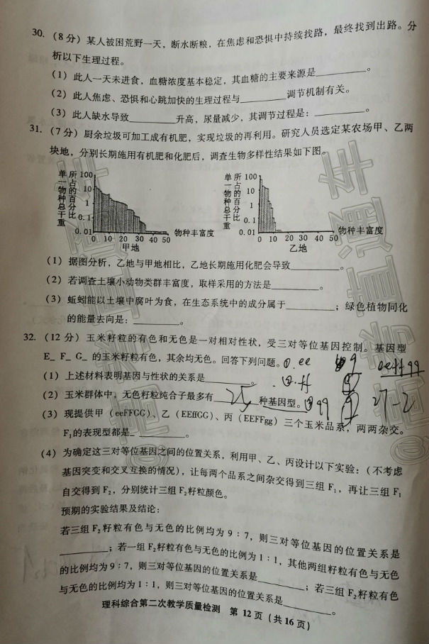 2020ݡƽ4ʼ⼰ο