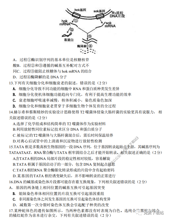 2020ݡѧ˸ڶεп⼰