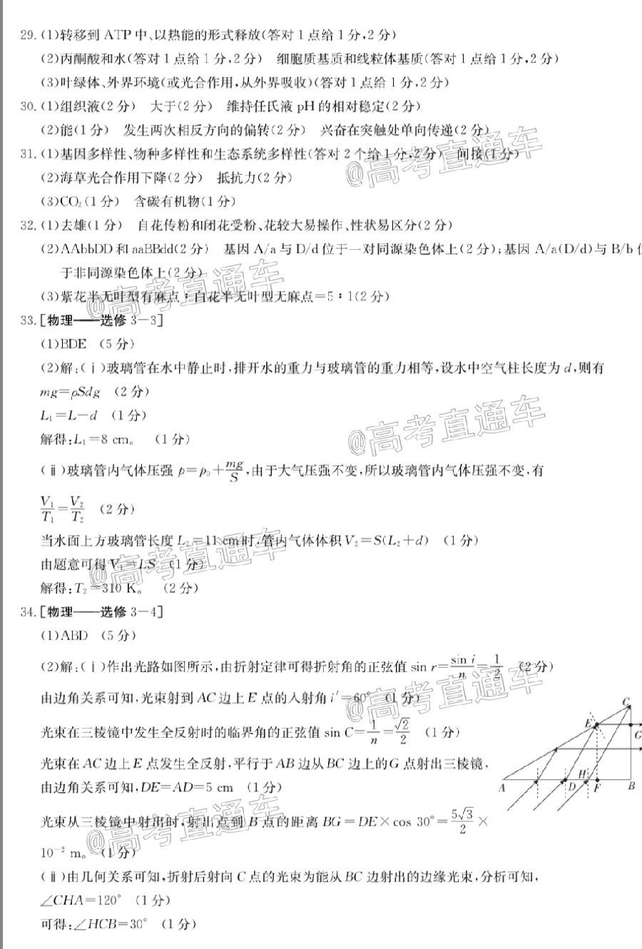 2020ʡ4½̫♬/261C⼰ο