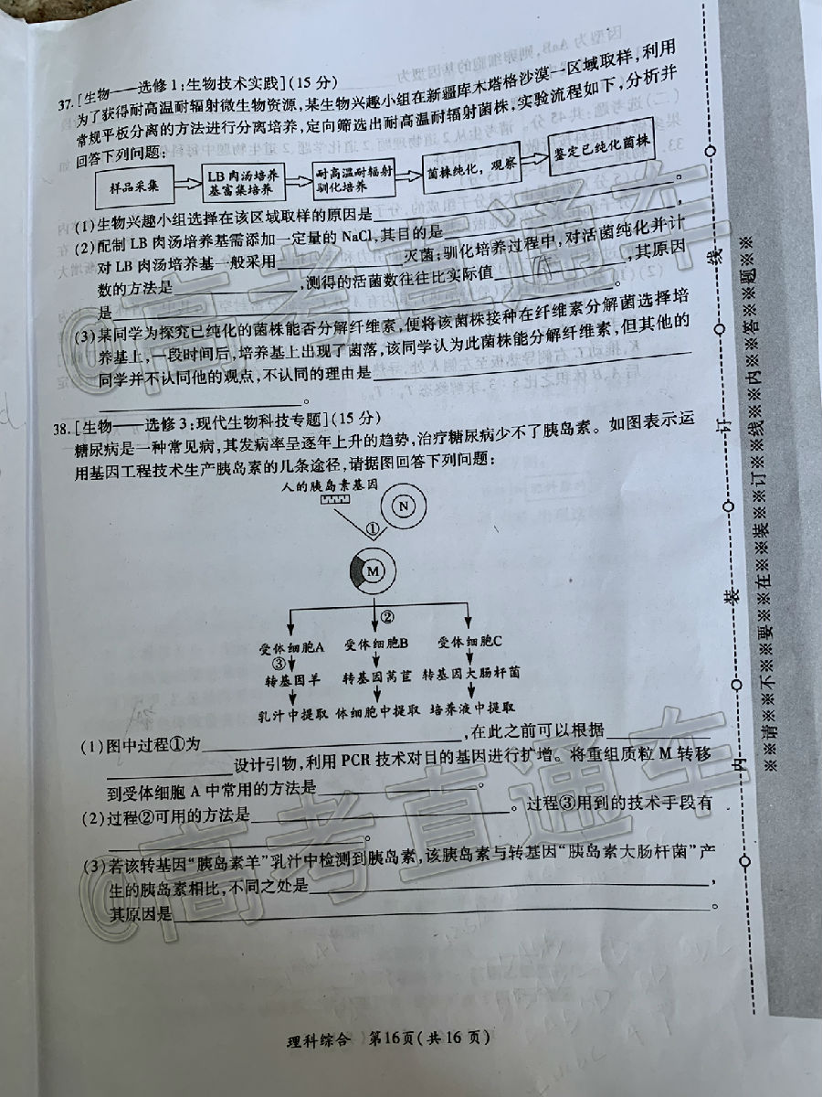 20205ʼA⼰ο