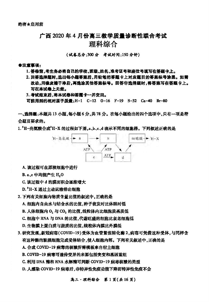 20204Ͽ⼰