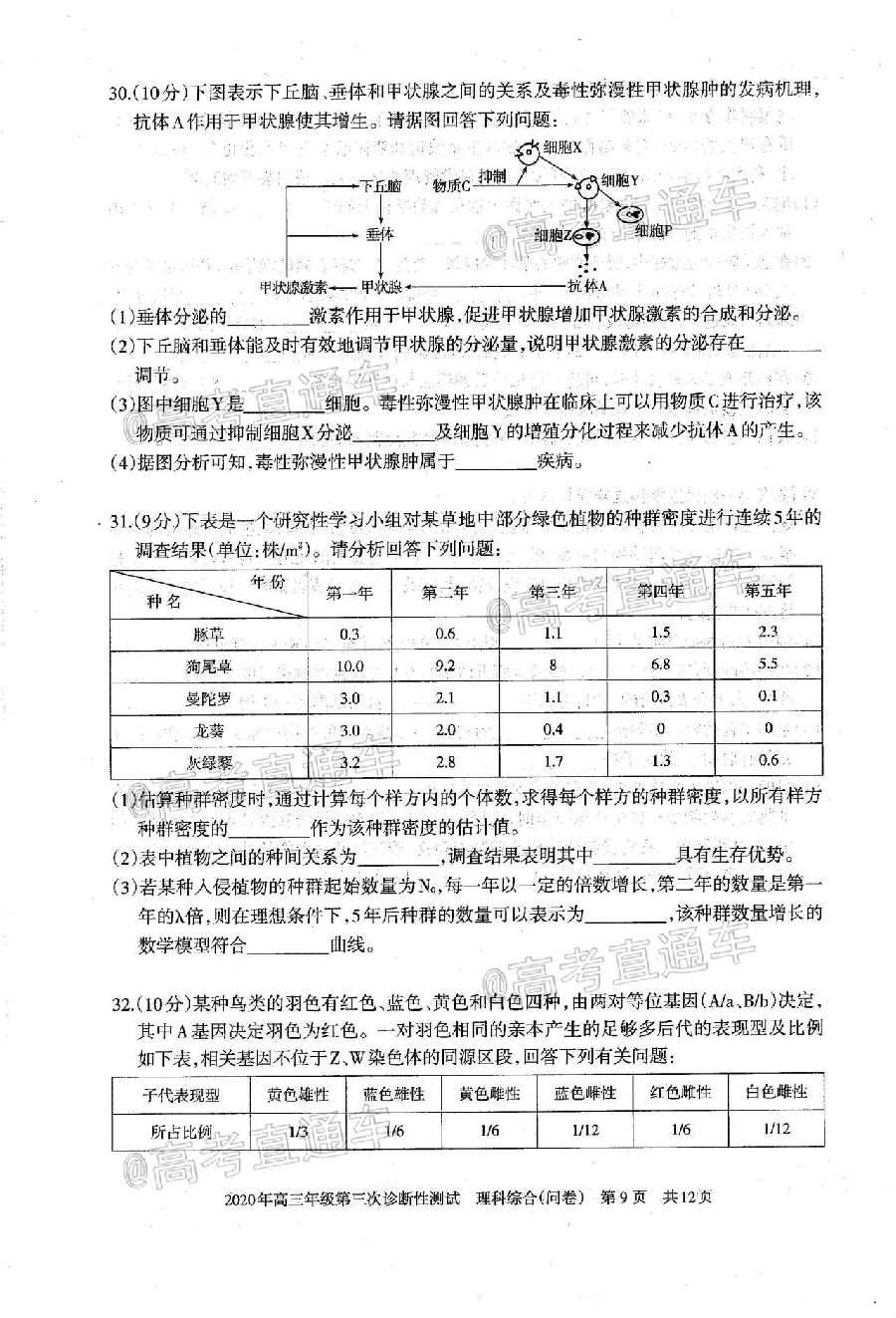 2020½꼶Բ⼰