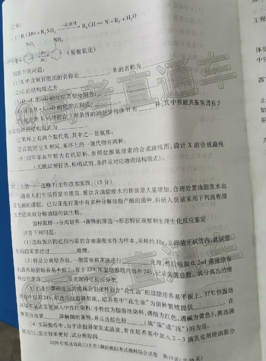2020ʡ5µ⼰ο