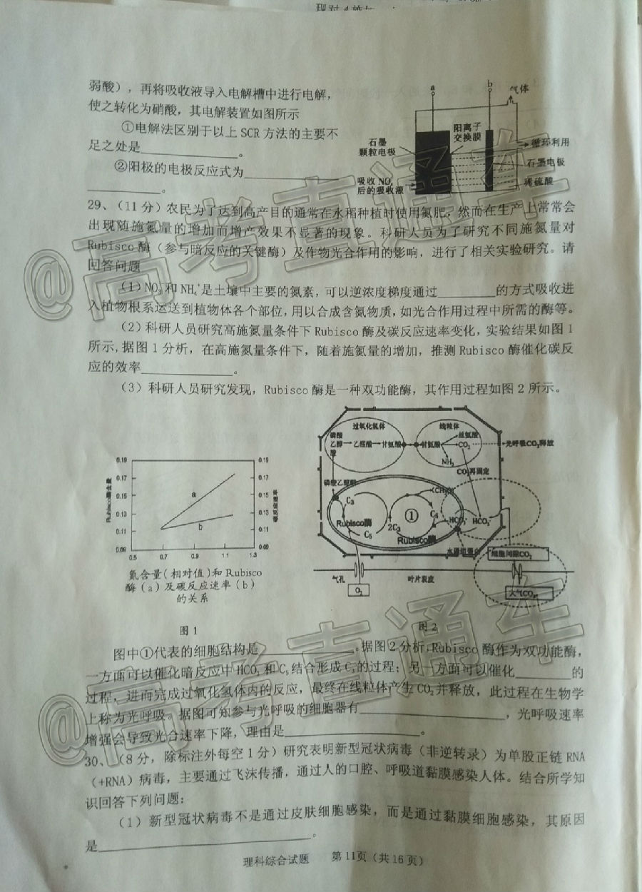 2020θ5⼰ο
