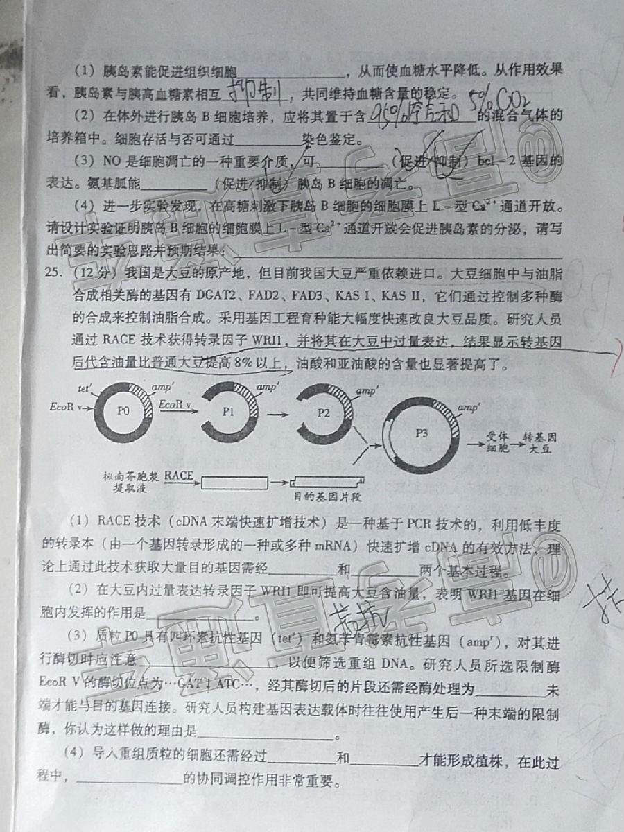 2020Ϋ5¶ģ⼰ο