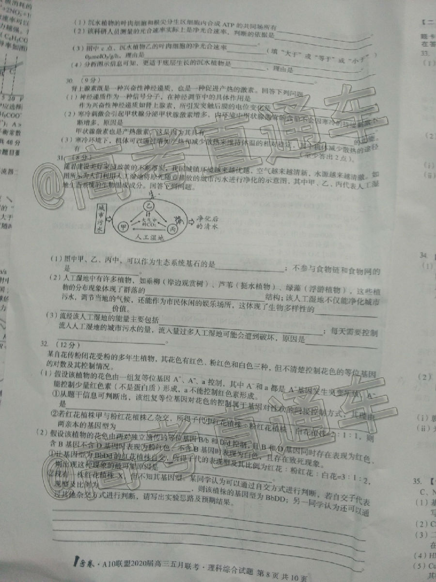 A102020⼰ο