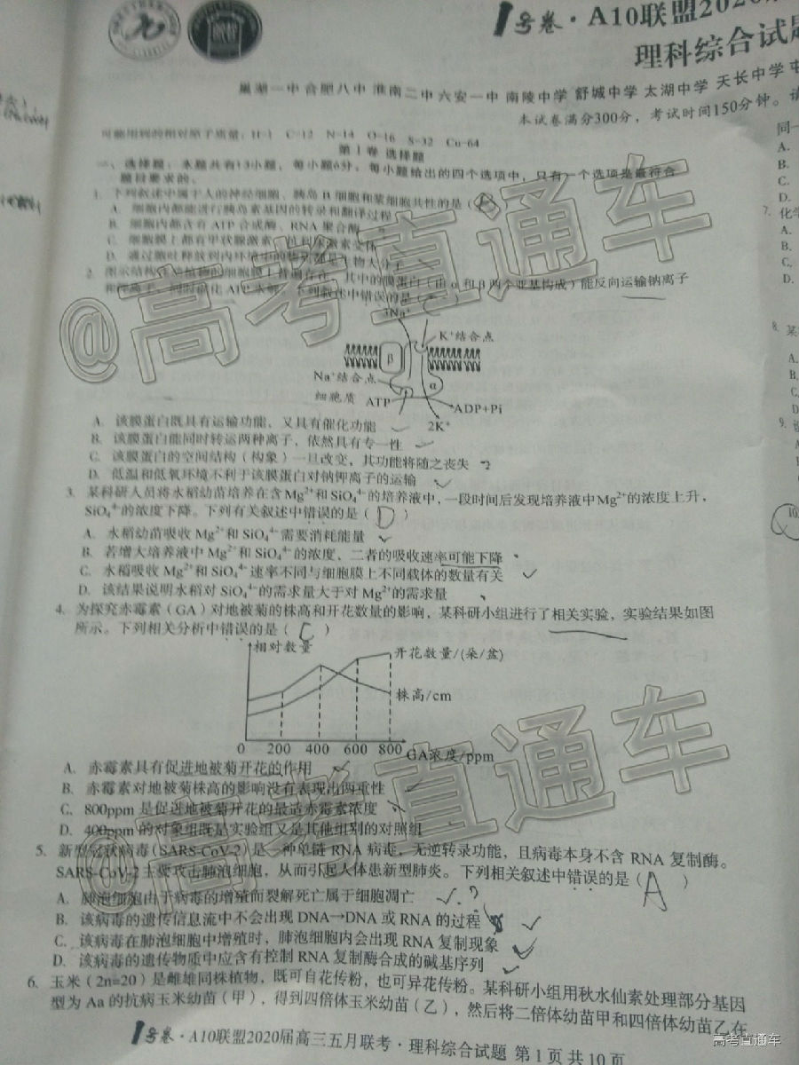 A102020⼰ο