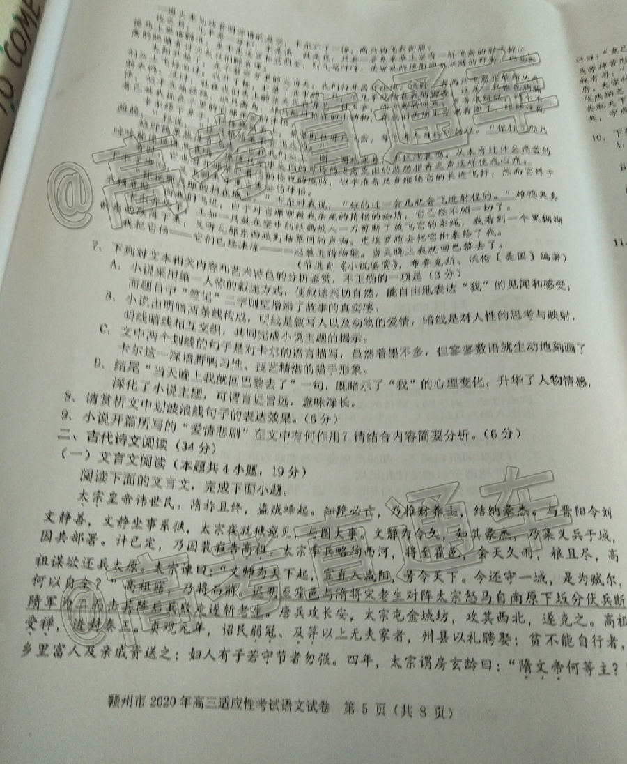 2020ݶģ⼰ο
