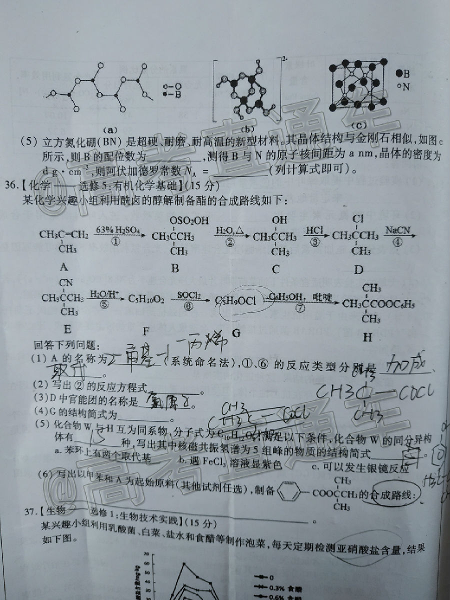 2020Ȫж죨522-23գ⼰ο