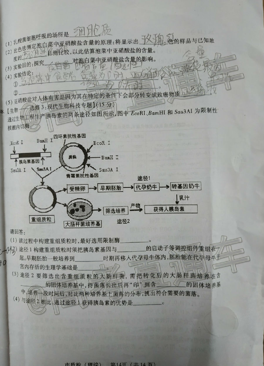 2020Ȫж죨522-23գ⼰ο