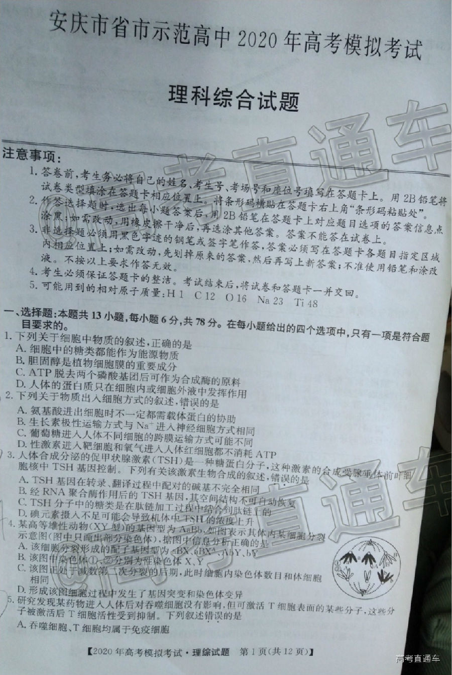 2020ʾ5⼰ο