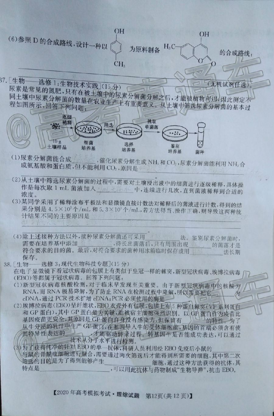 2020ʾ5⼰ο