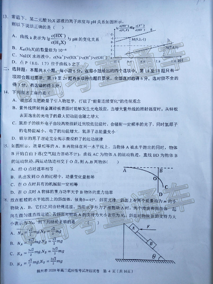 2020ݶģ⼰ο
