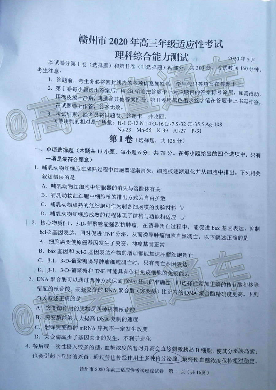 2020ݶģ⼰ο