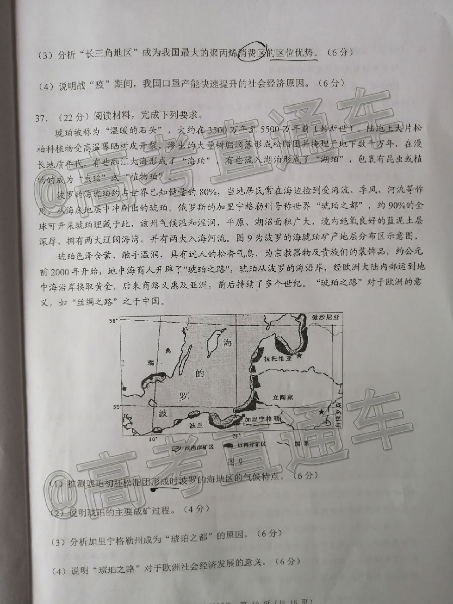2020ݶģ⼰ο