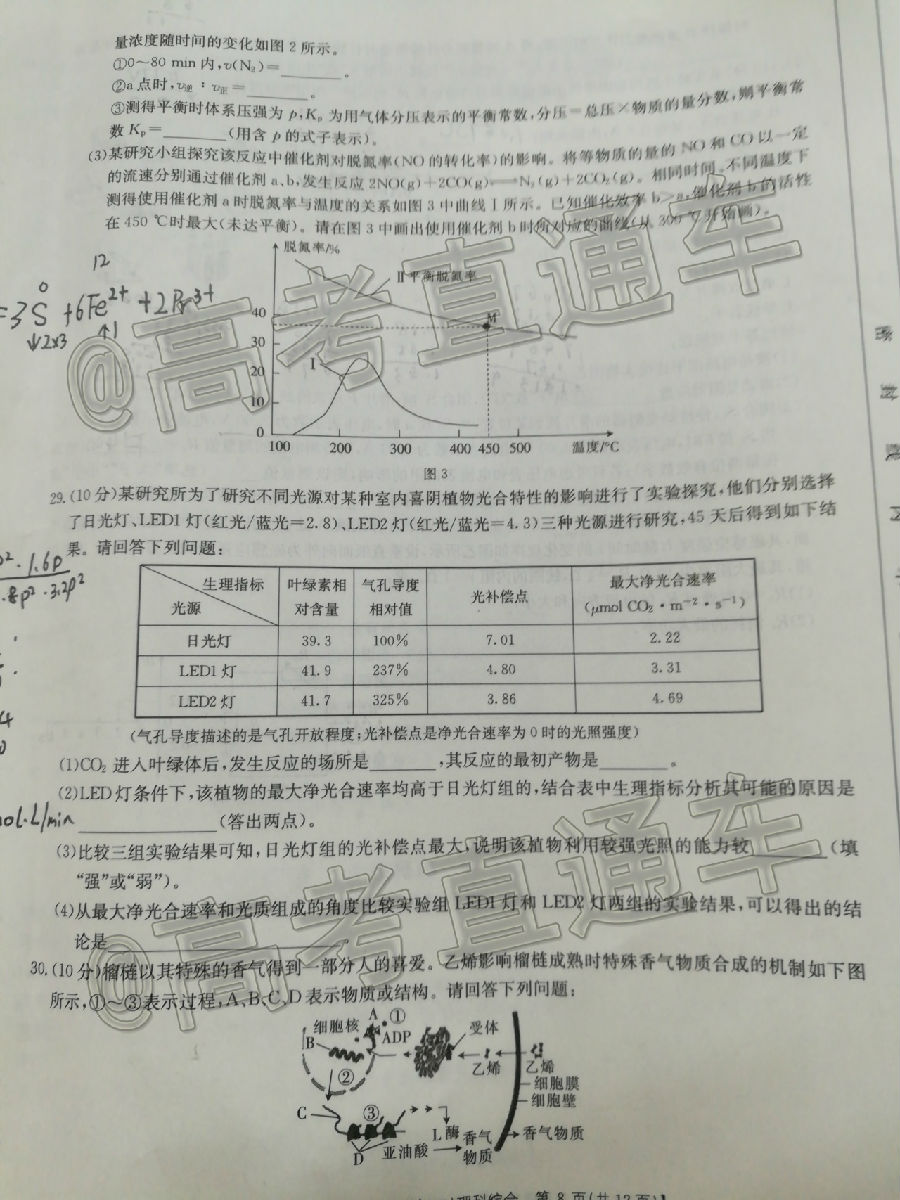 2020տ/Ŷģ20-05-354C⼰ο