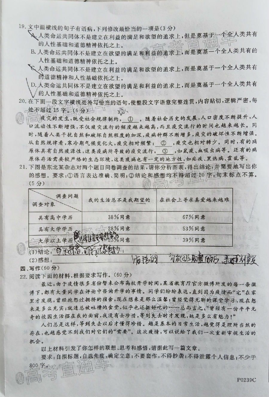 2020ģP0239C⼰ο