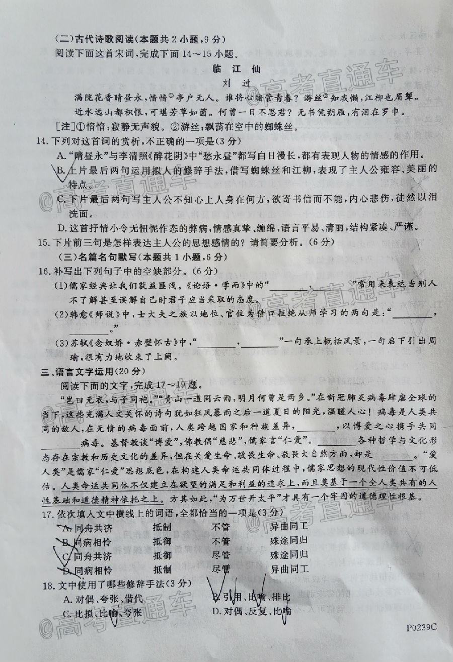 2020ģP0239C⼰ο
