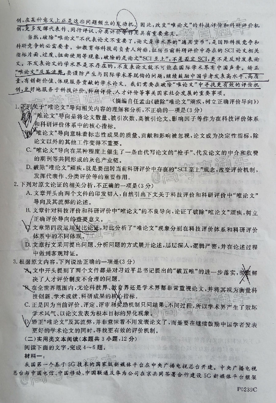 2020ģP0239C⼰ο