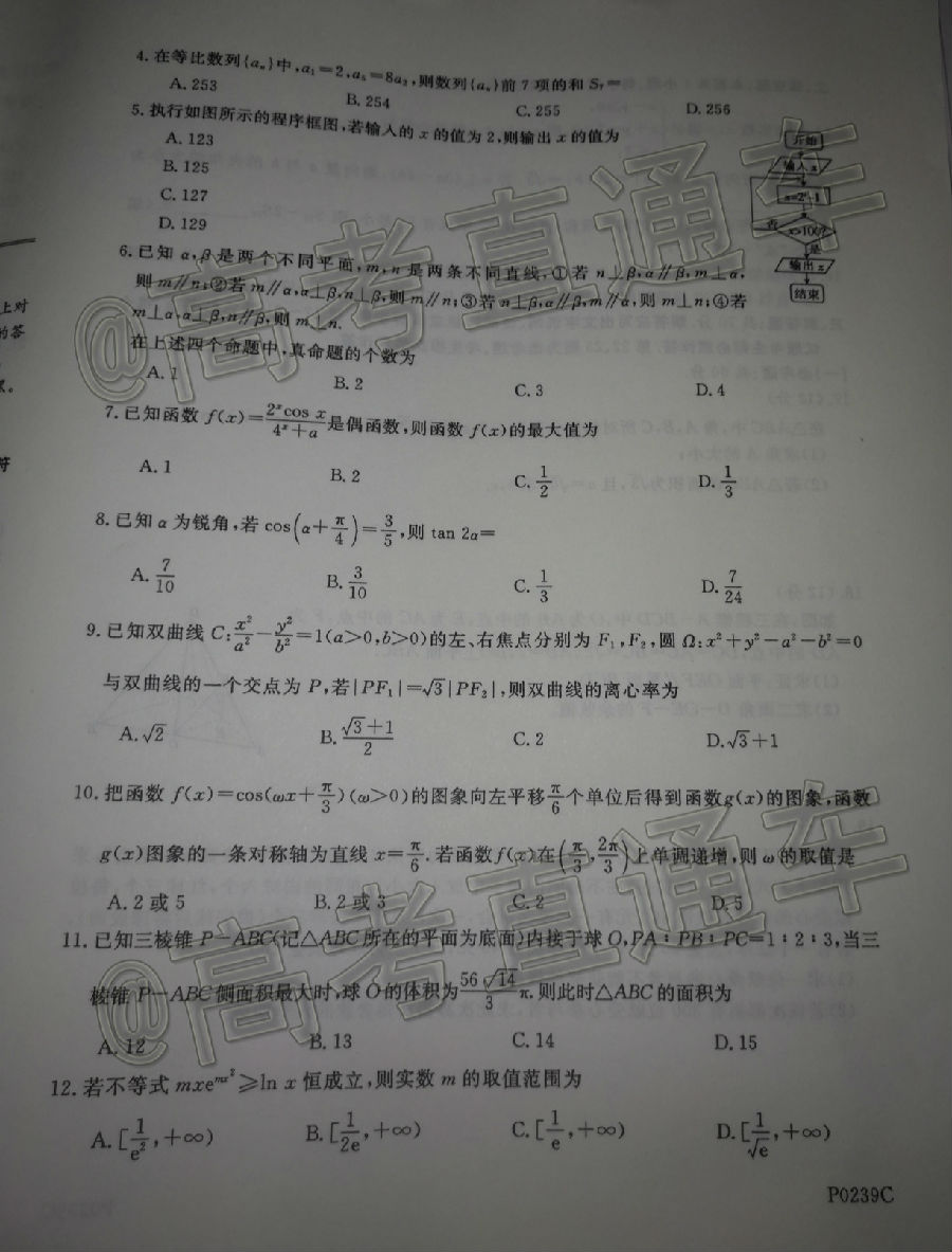 2020ģP0239C⼰ο