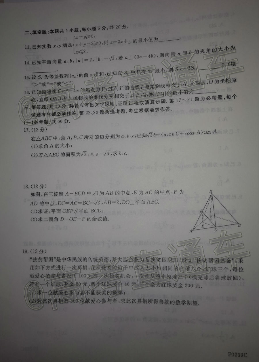 2020ģP0239C⼰ο