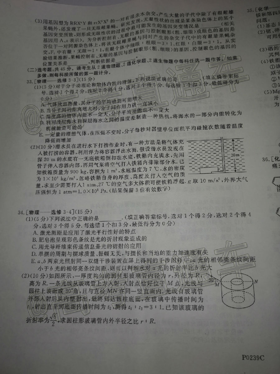 2020ģP0239C⼰ο