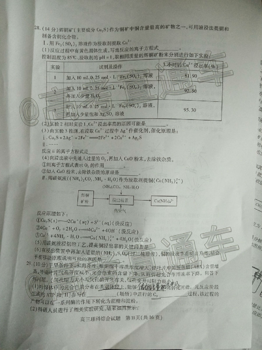 2020˳Ƕģ⼰ο