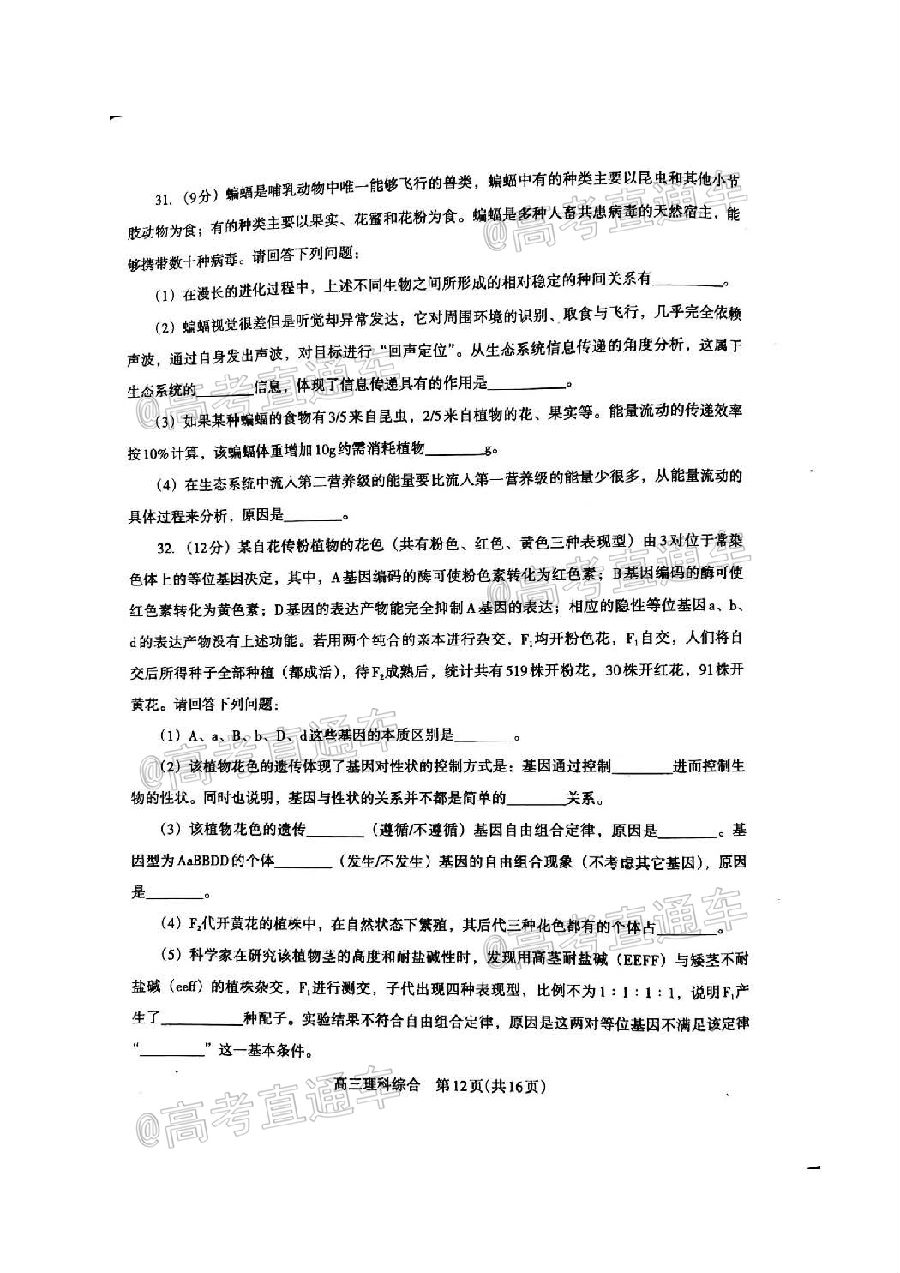 2020/ƽɽ/Դʼ⼰ο