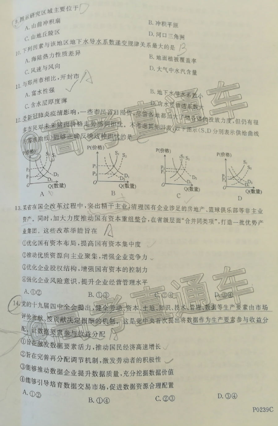 2020ģP0239C⼰ο
