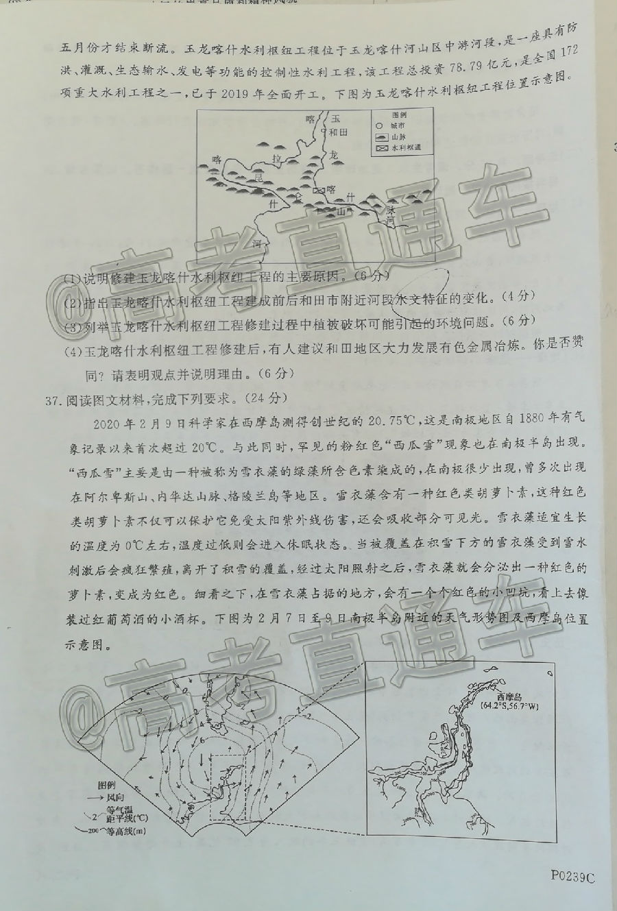 2020ģP0239C⼰ο