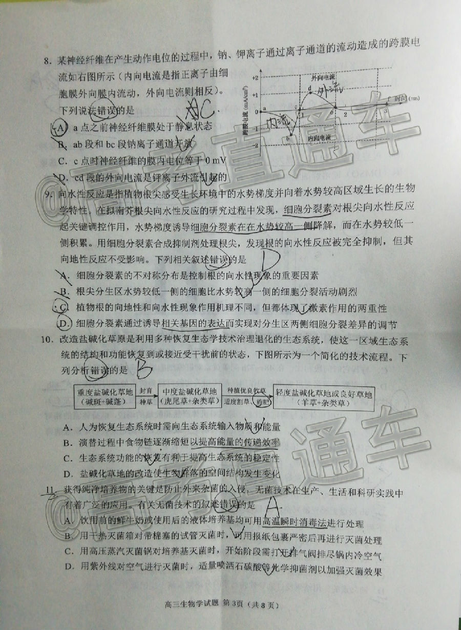 2020ո5У⼰ο