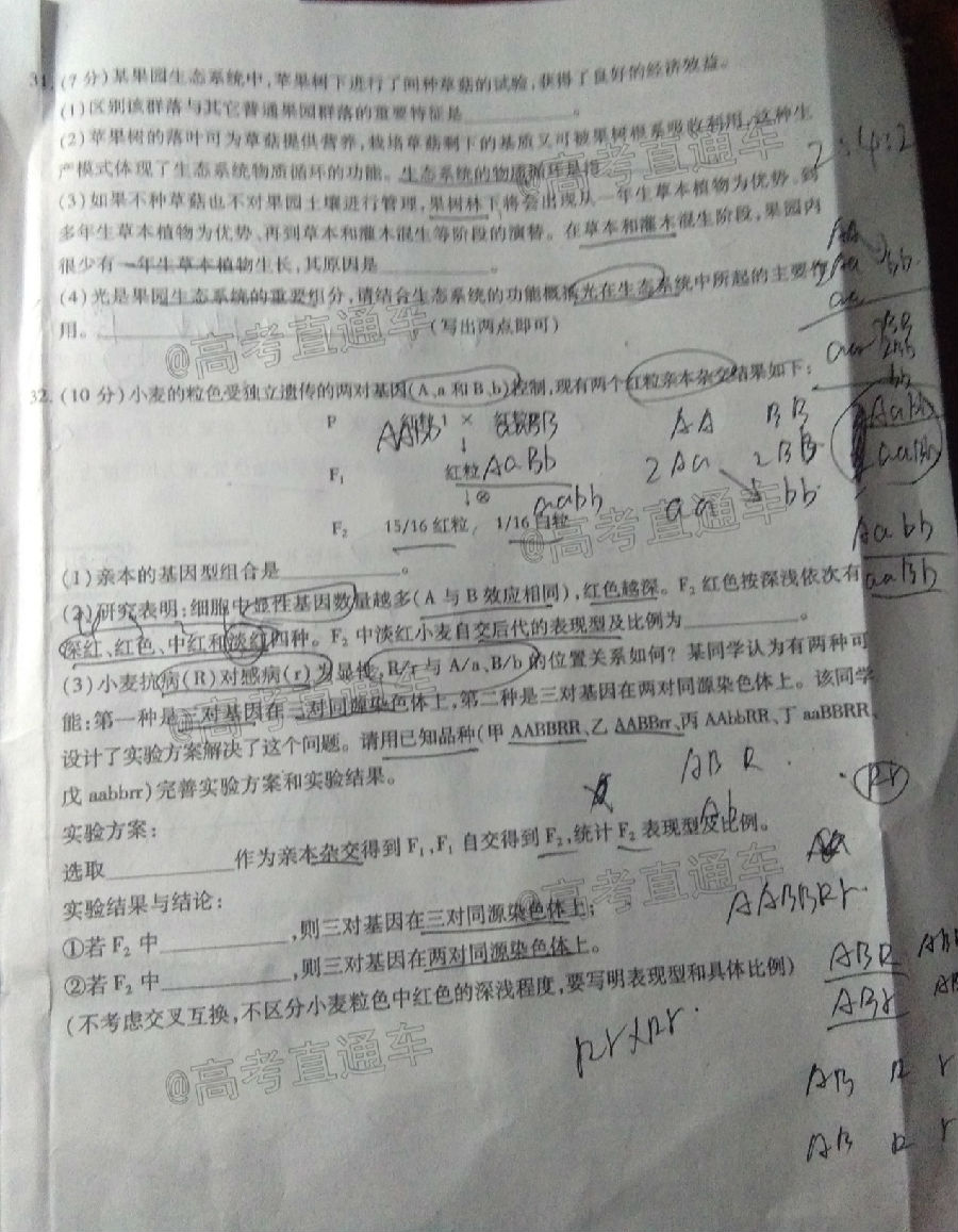 2020ϲģNCS20200707⼰ο