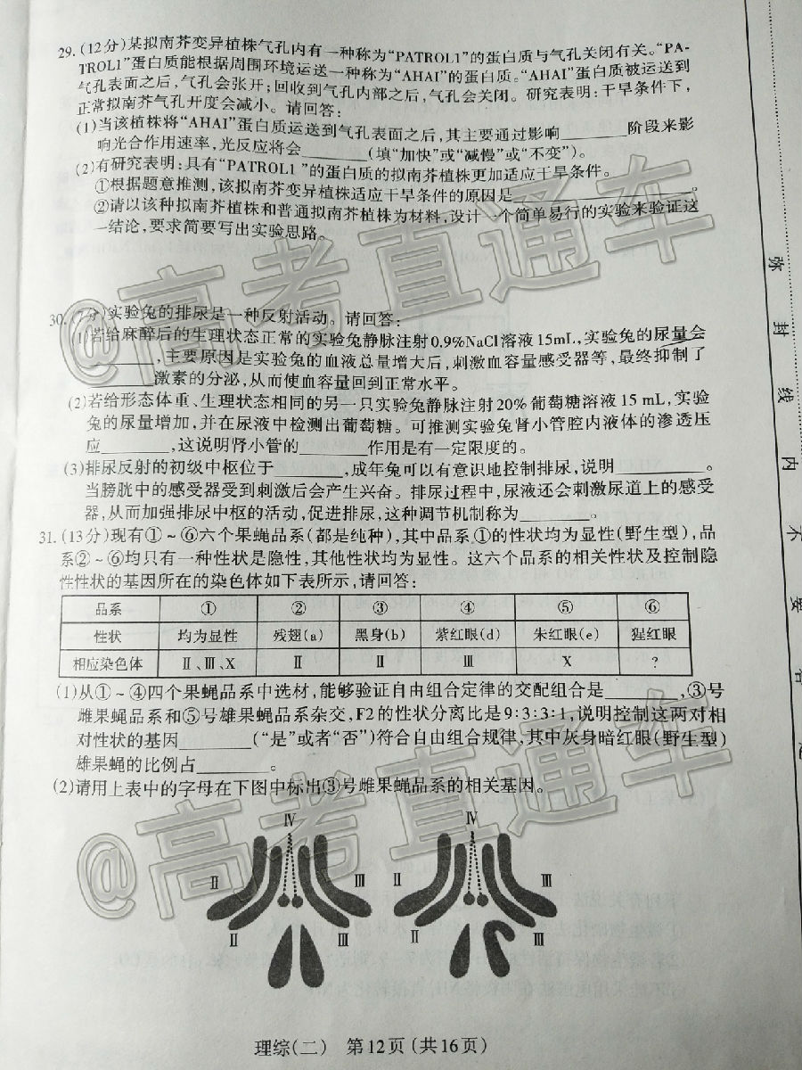 ̫ԭ2020꼶ģ⿼ԣ⼰ο