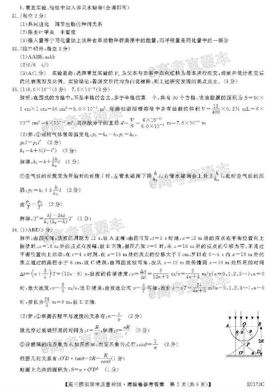 绯2020ȫиģ5£⼰ο𰸣У