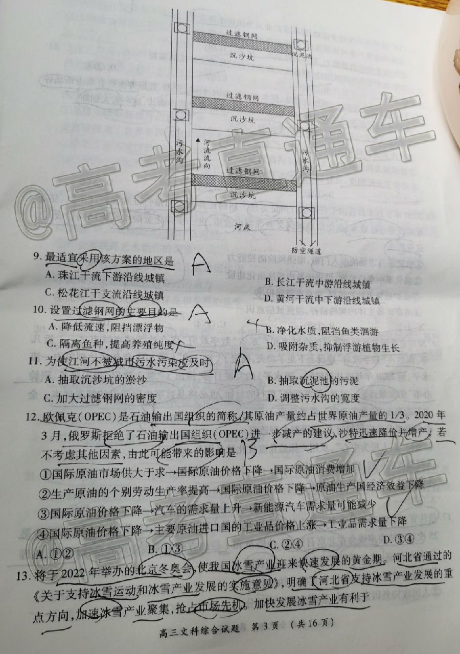 20206ͳ⼰ο