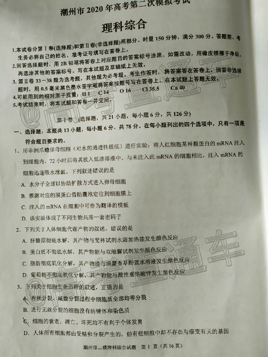 2020ݶģ⼰ο