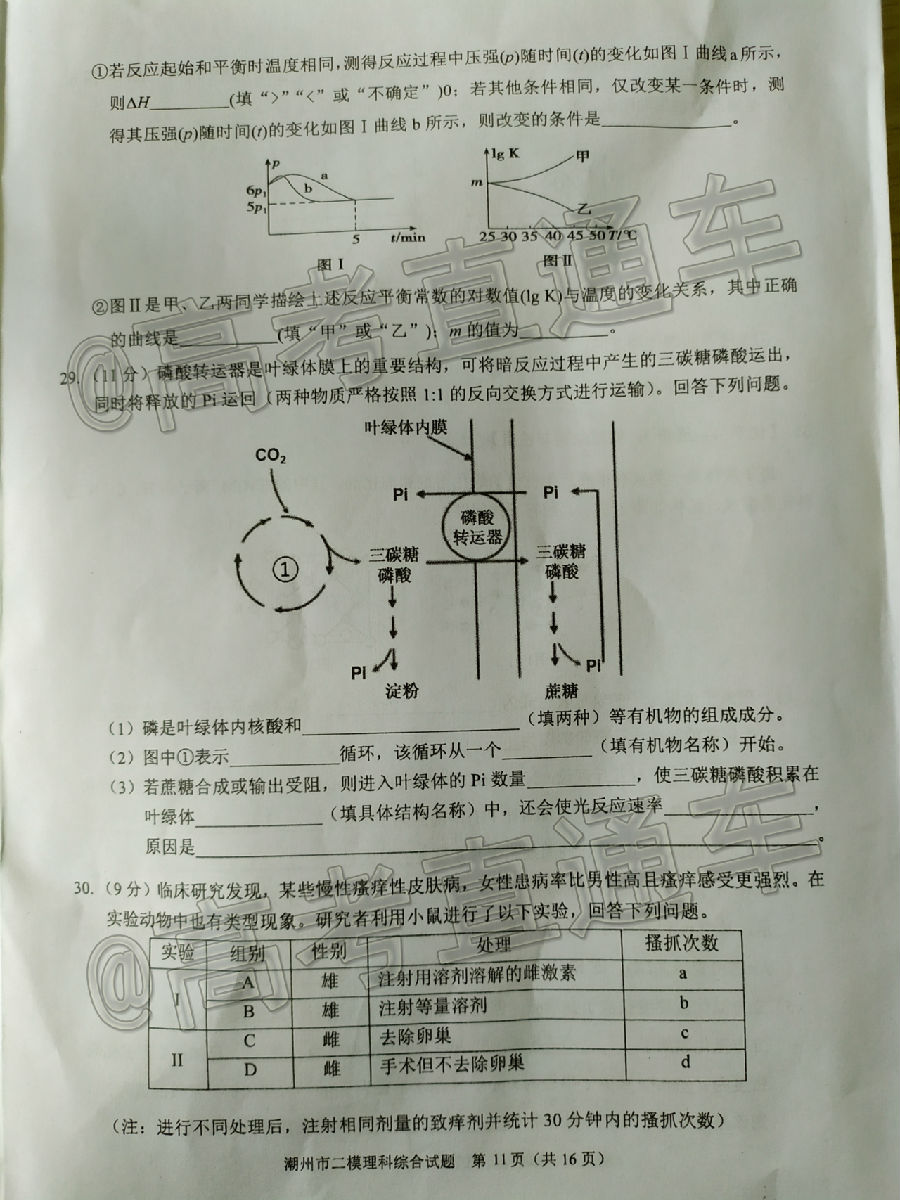 2020ݶģ⼰ο